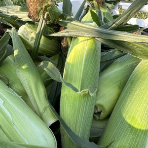 Sweet Corn: 1/2 Dozen